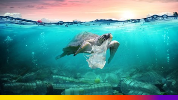 Plastic Pollution